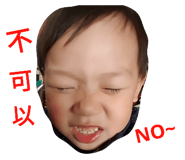 53995366