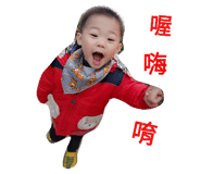 53995388