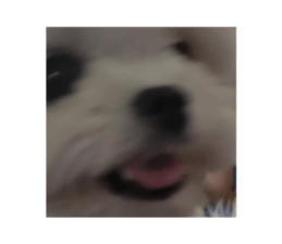 539971777