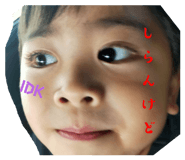 540009205