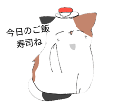 540017600