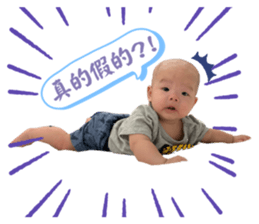 540031074
