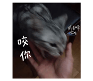 540150621