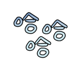 540151293