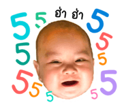 540160556