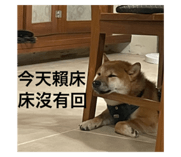 540171225