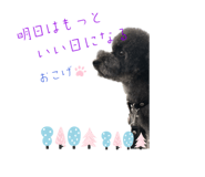 540194517
