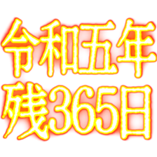 540233246