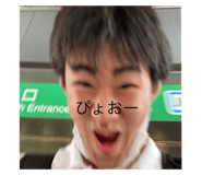 540251646