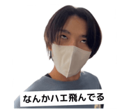 540251655