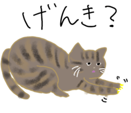 540405822