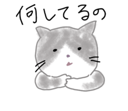 540405825