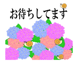 54041251