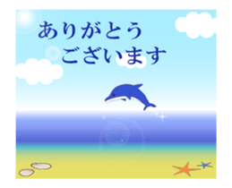 54041255