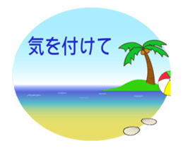 54041257