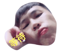 54041291