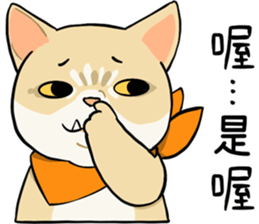 540444213