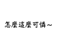 540463501
