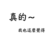 540463504