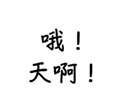 540463508