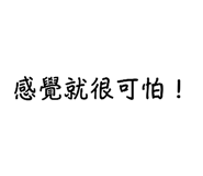 540463517
