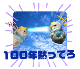 540469753