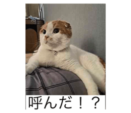540485424
