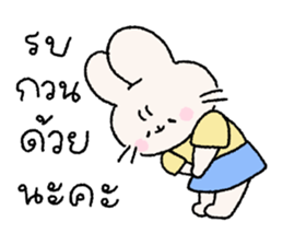 ลายที่ 17