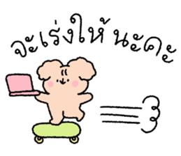 ลายที่ 29