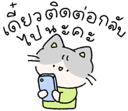 ลายที่ 45