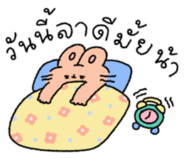 ลายที่ 61