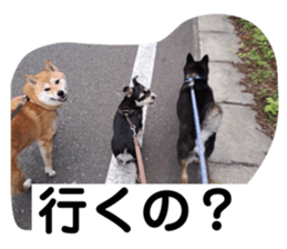 540509778