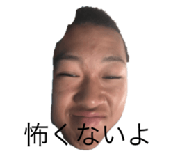 540511137