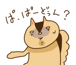 5405305