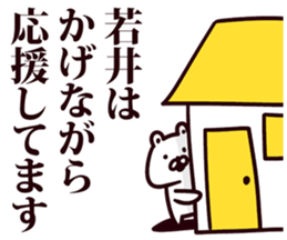 54056504