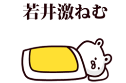 54056509