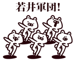 54056528