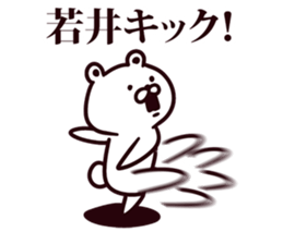 54056529