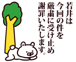 54056532