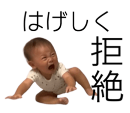 540651482
