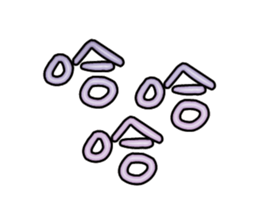 540669197