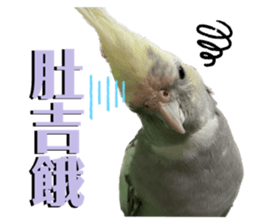 540708897