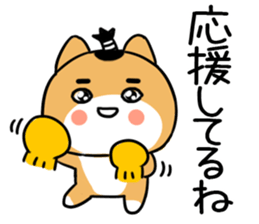 540719955