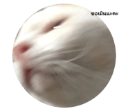 540725580