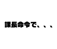 540727781