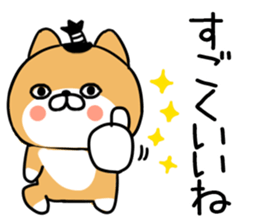 540728521
