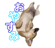 540759250