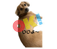 540759253
