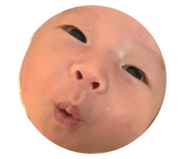 540760808