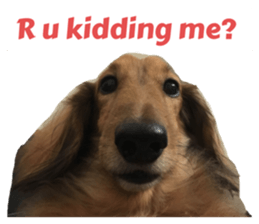 540766251